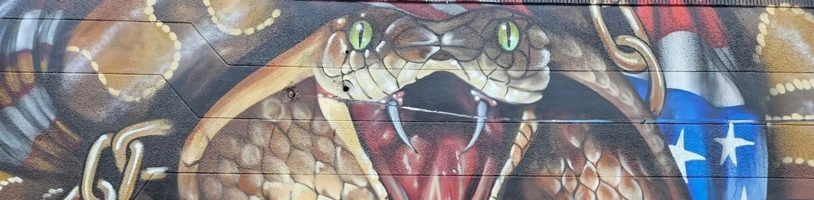 WYNWOOD-SNAKE-e1714977253922-transformed